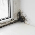 How a Professional Home Inspector Can Spot Water Intrusion in Winder, GA